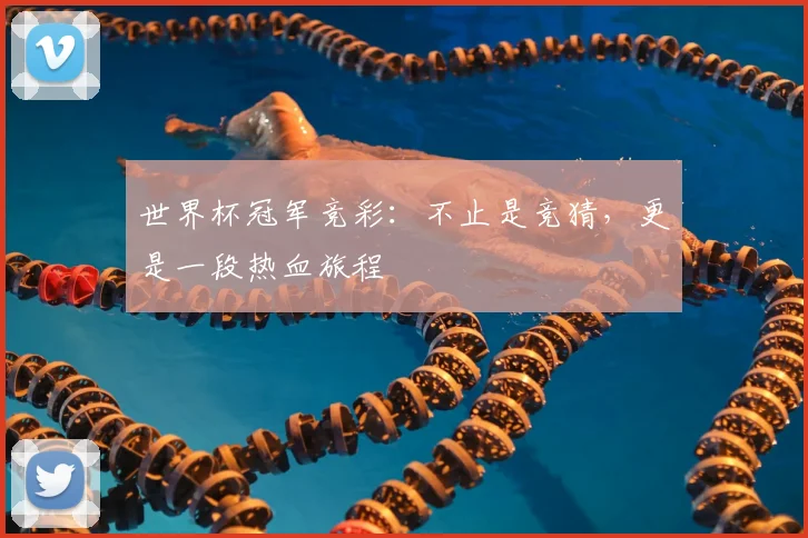 世界杯冠军竞彩：不止是竞猜，更是一段热血旅程