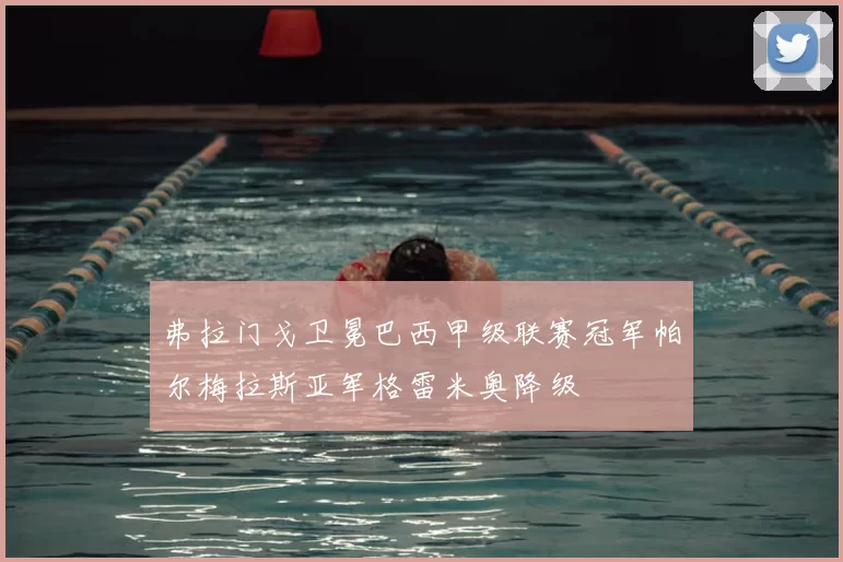 弗拉门戈卫冕巴西甲级联赛冠军帕尔梅拉斯亚军格雷米奥降级