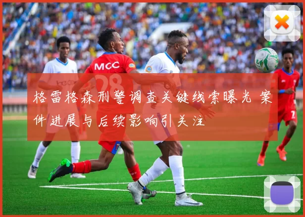 格雷格森刑警调查关键线索曝光 案件进展与后续影响引关注